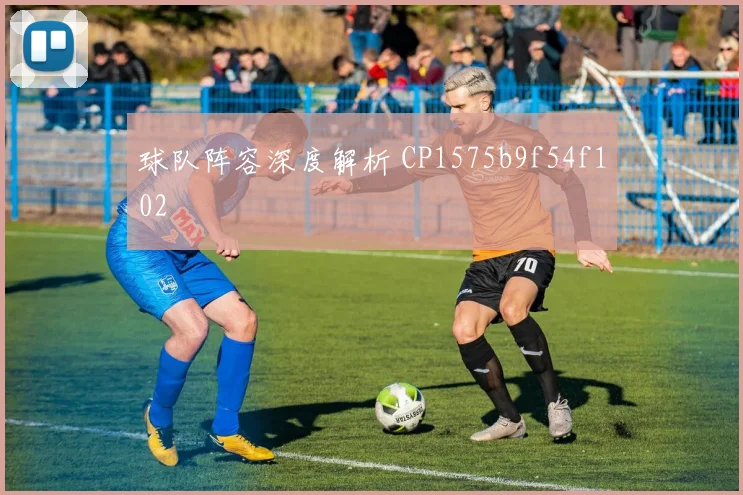 球队阵容深度解析 CP1575b9f54f102