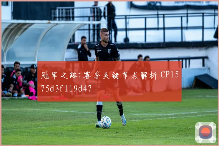 冠军之路:赛季关键节点解析 CP1575d3f119d47